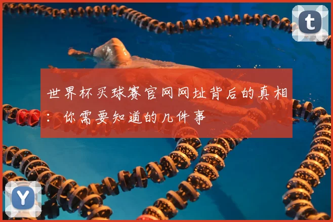 世界杯买球赛官网网址背后的真相：你需要知道的几件事