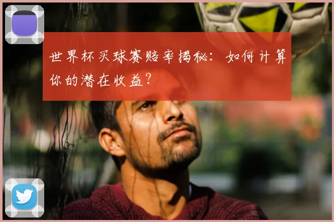 世界杯买球赛赔率揭秘：如何计算你的潜在收益？
