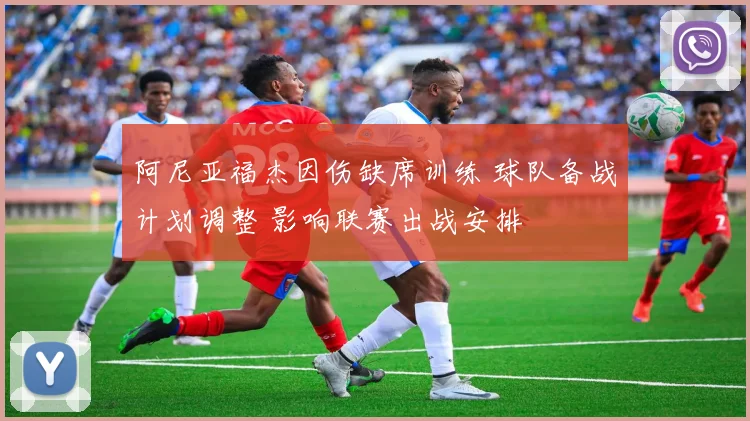 阿尼亚福杰因伤缺席训练 球队备战计划调整 影响联赛出战安排