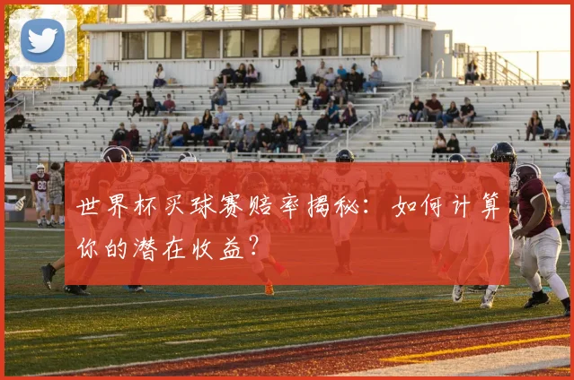 世界杯买球赛赔率揭秘：如何计算你的潜在收益？