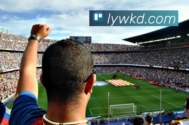 k1体育app下载官网入口(中国)官方在线登录APP 封面图